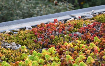 the cost of Groombridge green roof installation