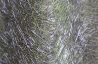 Groombridge fibreglass roof work